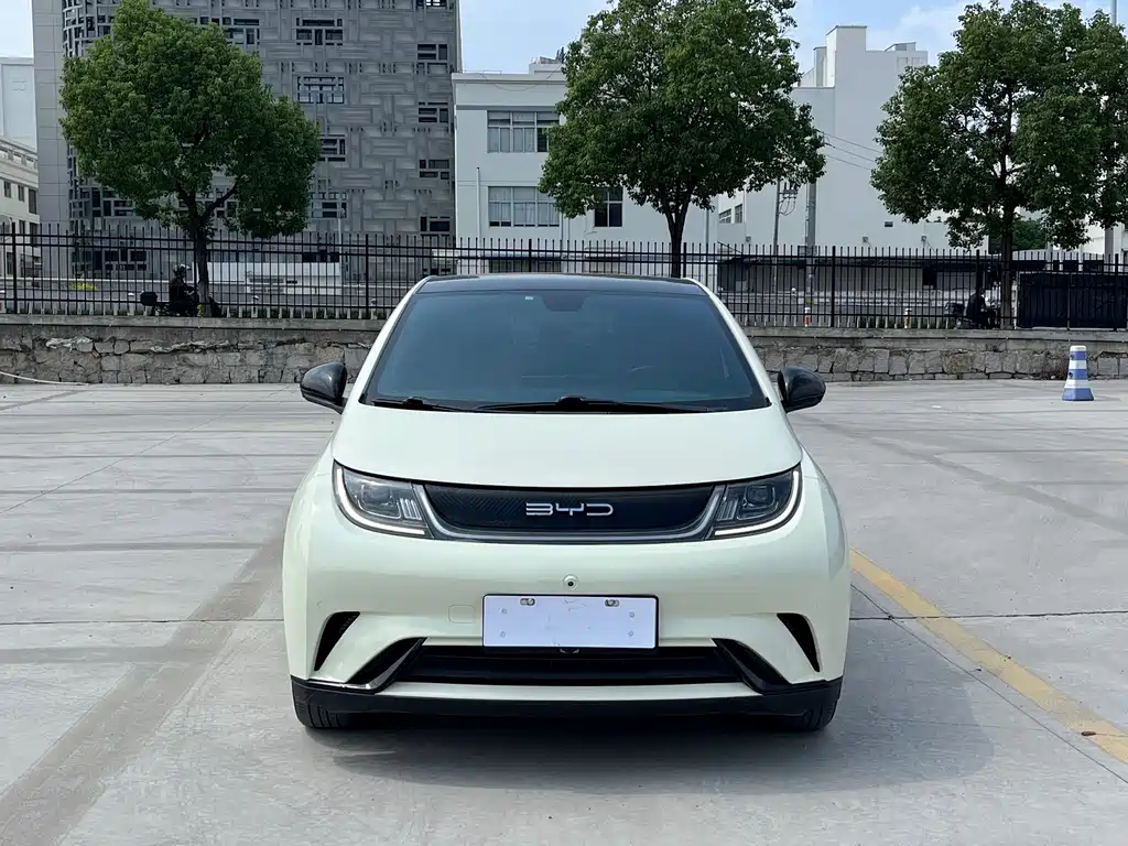 BYD Dolphin — миниатюра 4