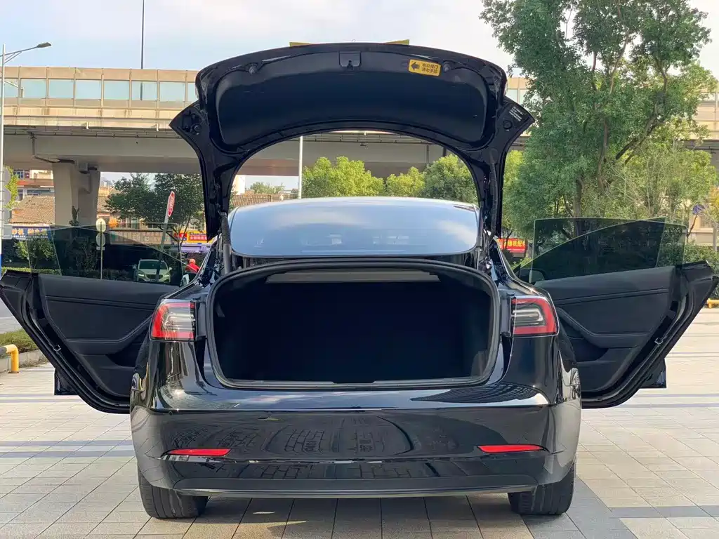 Tesla Model 3 — миниатюра 7