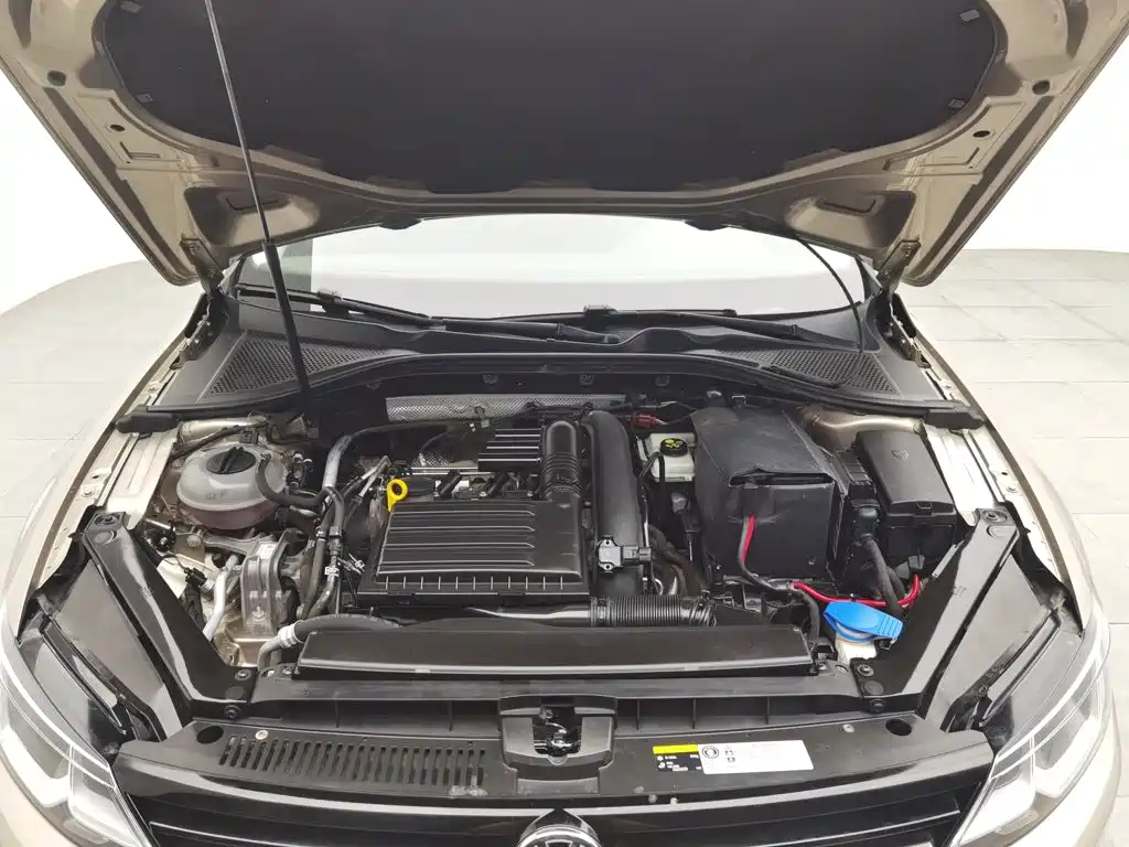Volkswagen Lamando — миниатюра 6