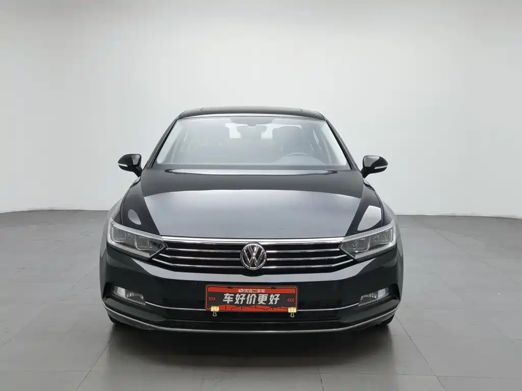 Volkswagen Magotan 2019 330TSI DSG Luxury VI