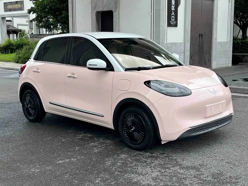 Wuling Binguo 2023 410km Premium