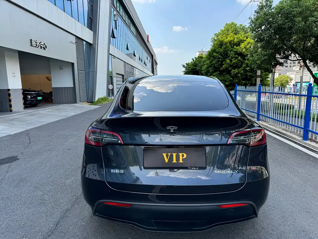 Tesla Model Y — миниатюра 5