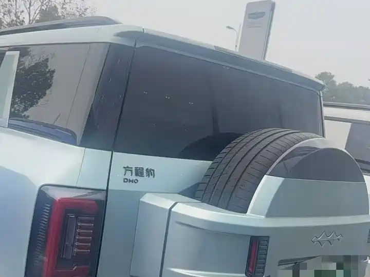 FANG CHENG BAO LEOPARD 8