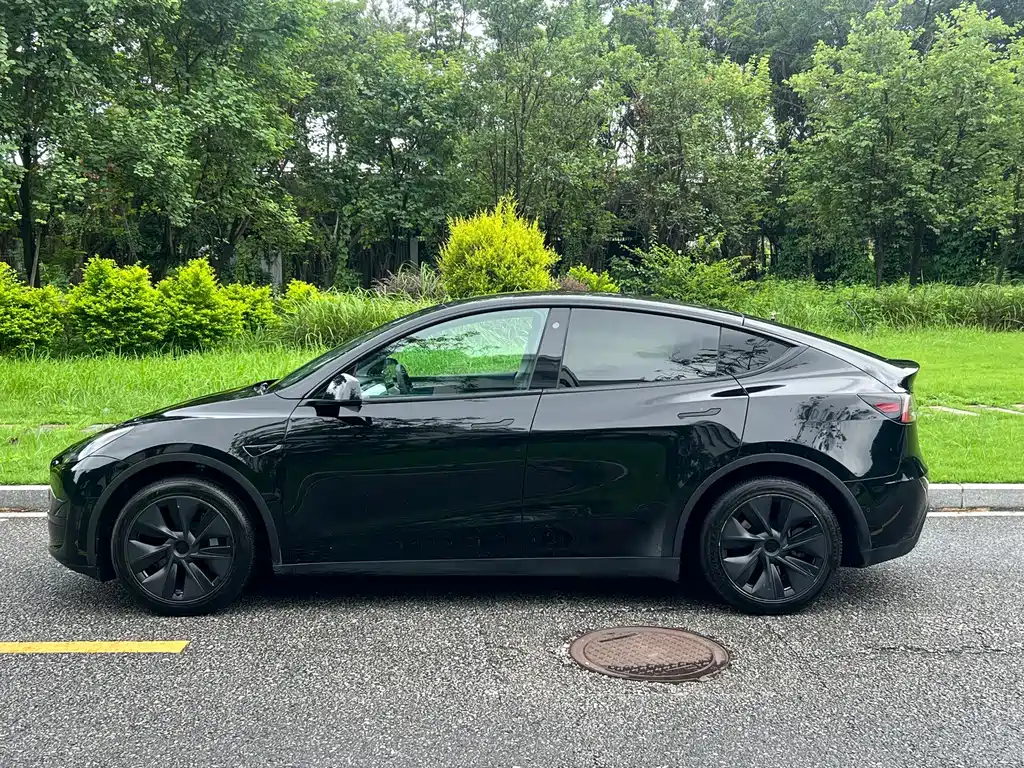 Tesla Model Y — миниатюра 8