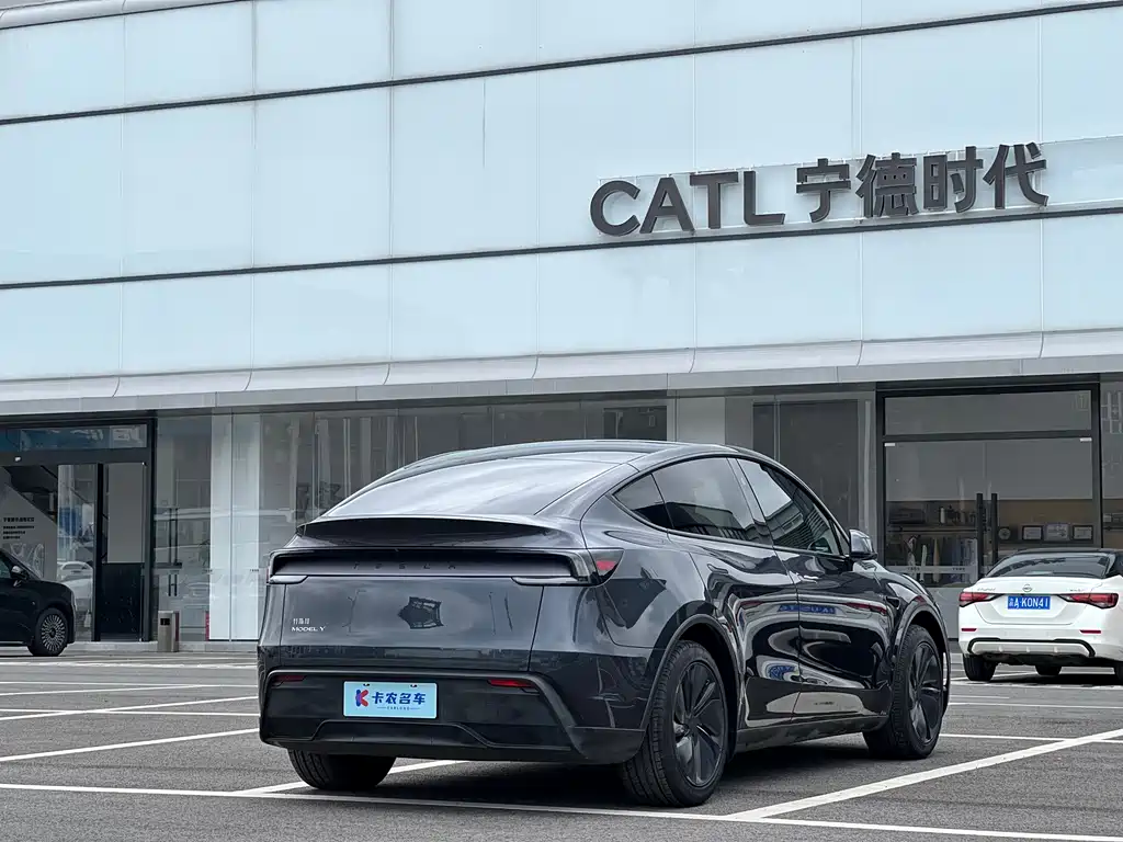 Tesla Model Y — миниатюра 2