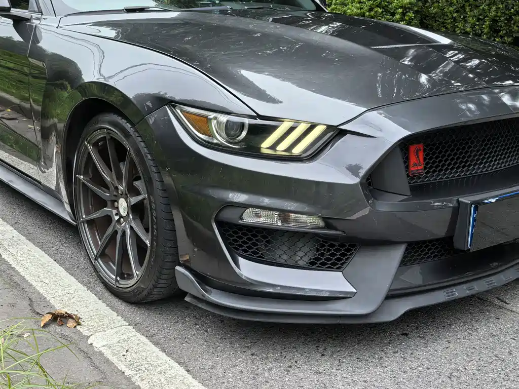 Ford Mustang — миниатюра 13