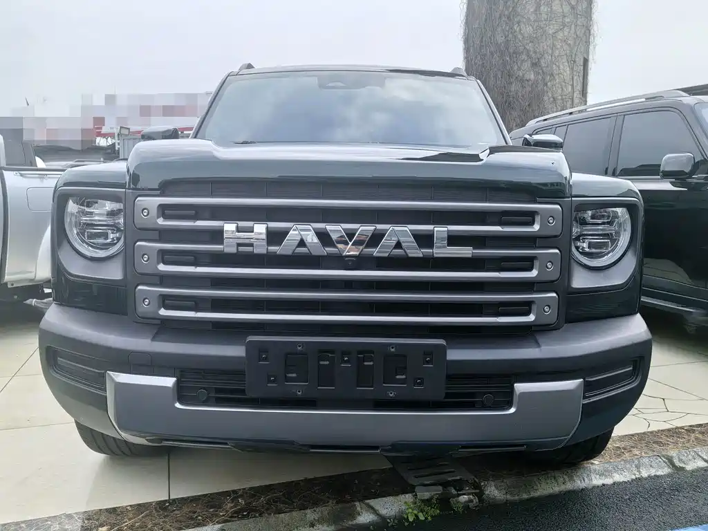 Haval Menglong New Energy — миниатюра 2