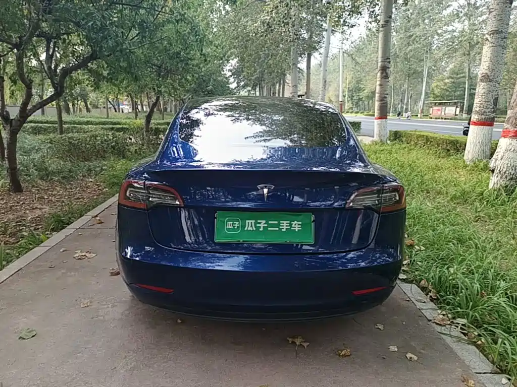 Tesla Model 3 — миниатюра 6