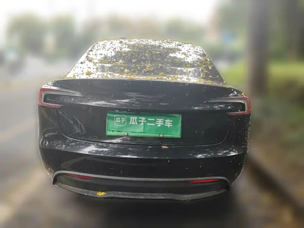 Tesla Model 3 — миниатюра 4