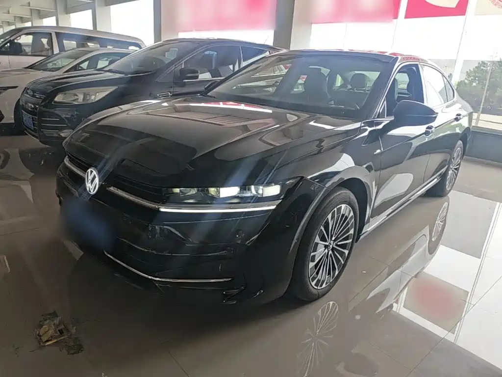 Volkswagen Magotan — миниатюра 2