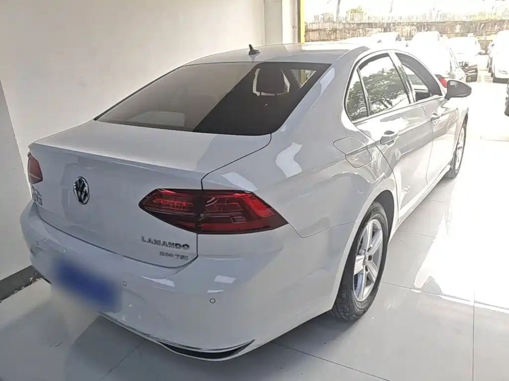 Volkswagen Lamando — миниатюра 7