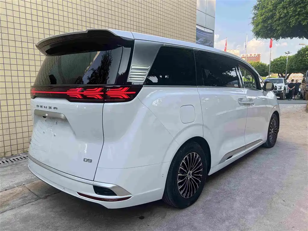 Denza Denza D9 — миниатюра 7