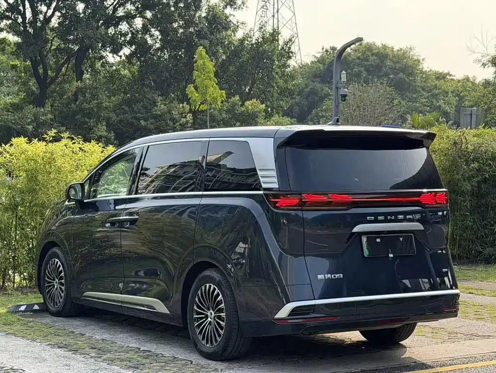 Denza Denza D9 — миниатюра 17