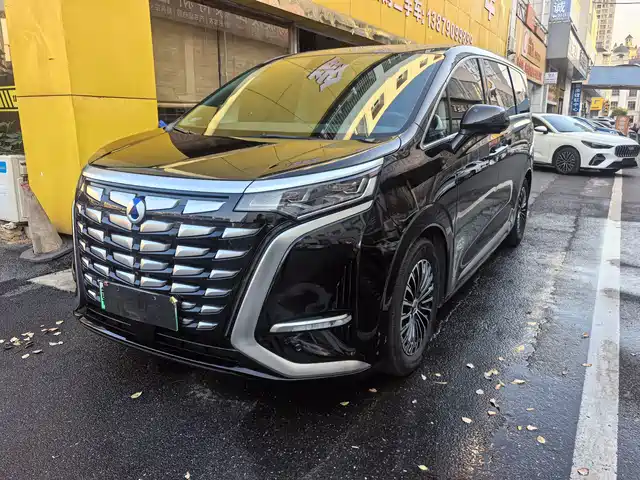 Denza D9