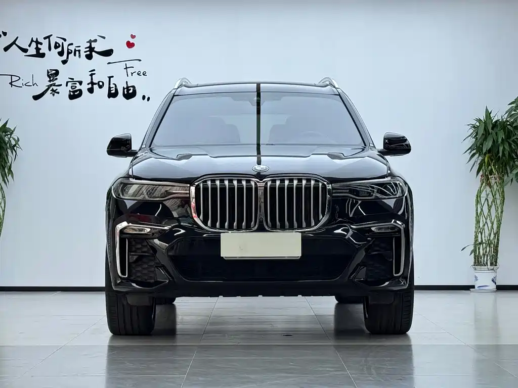 BMW X7 — миниатюра 2