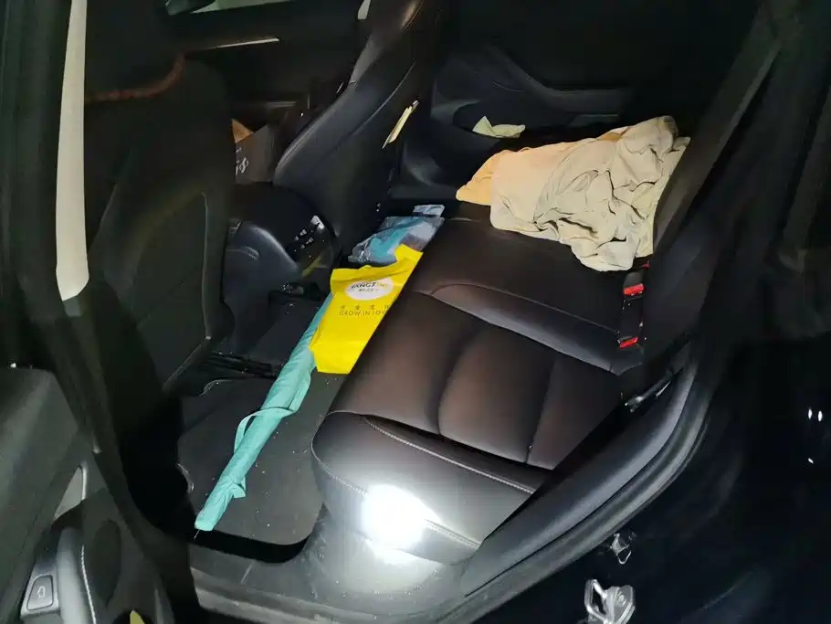 Tesla Model 3 — миниатюра 11