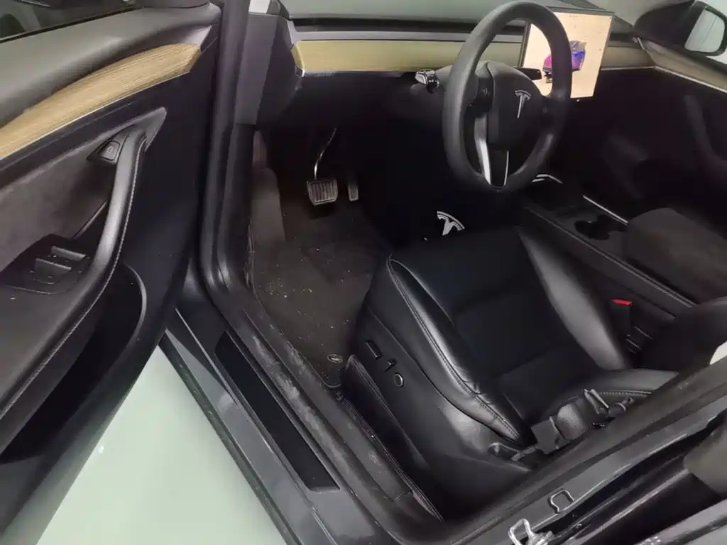 Tesla Model Y — миниатюра 15