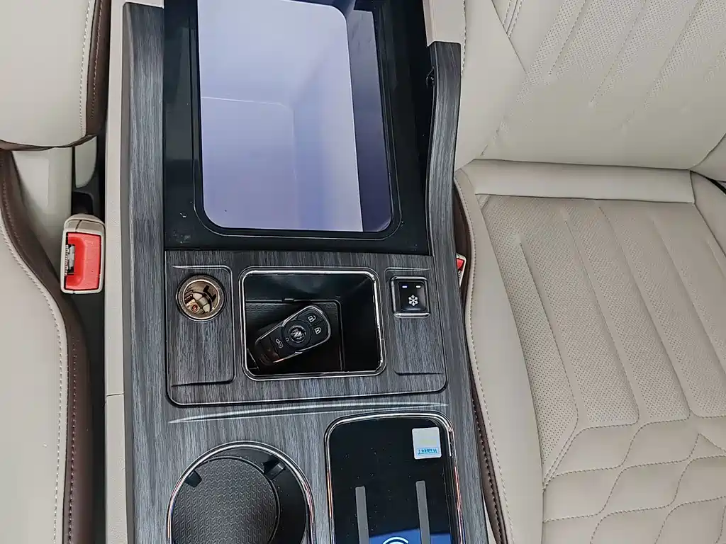 Buick GL8 — миниатюра 12