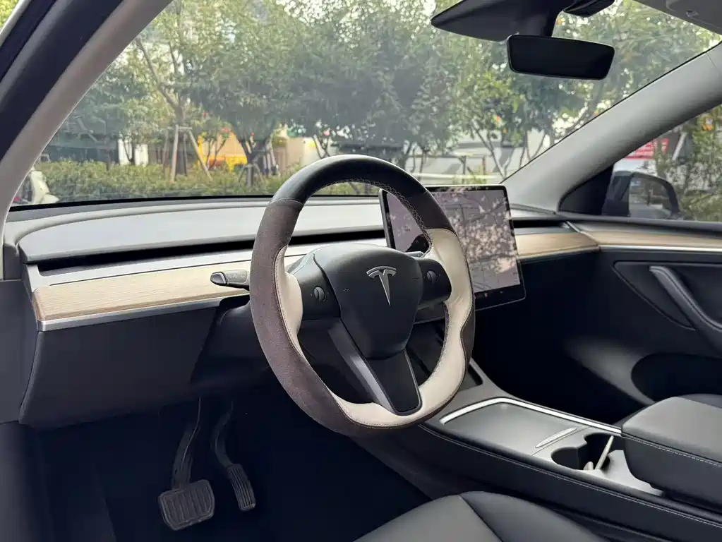 Tesla Model Y — миниатюра 16