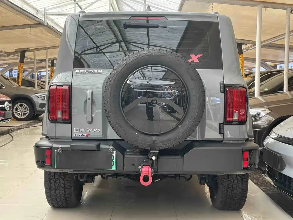 TANK TANK 300 NEW ENERGY