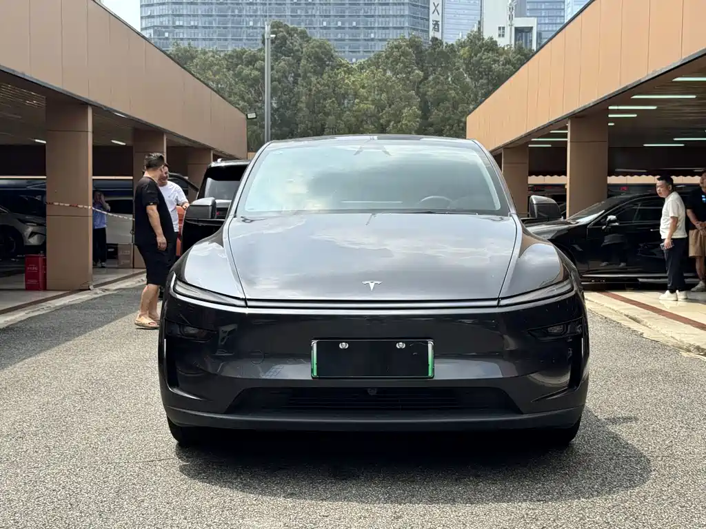 Tesla Model Y — миниатюра 2