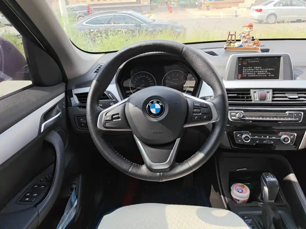BMW X1 2018 sDrive20Li Lead