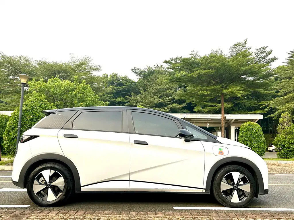 BYD Dolphin — миниатюра 9