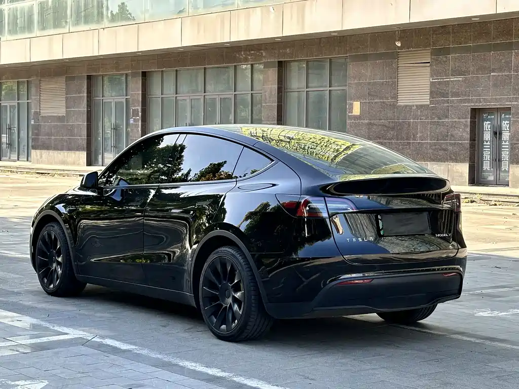 Tesla Model Y — миниатюра 10