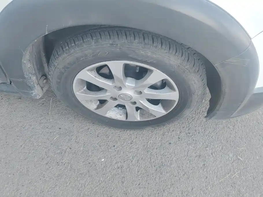 Venucia R50X — миниатюра 6