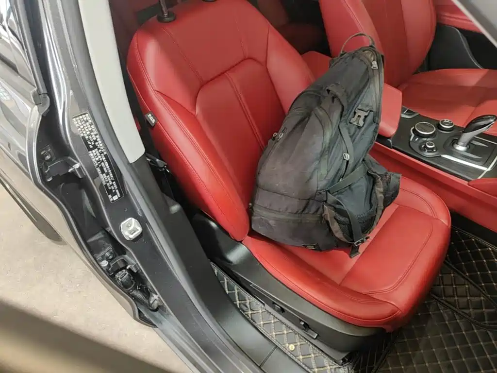 Alfa Romeo Stelvio — миниатюра 25