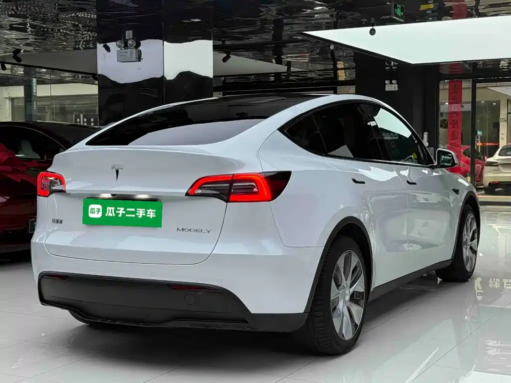 Tesla Model Y — миниатюра 7