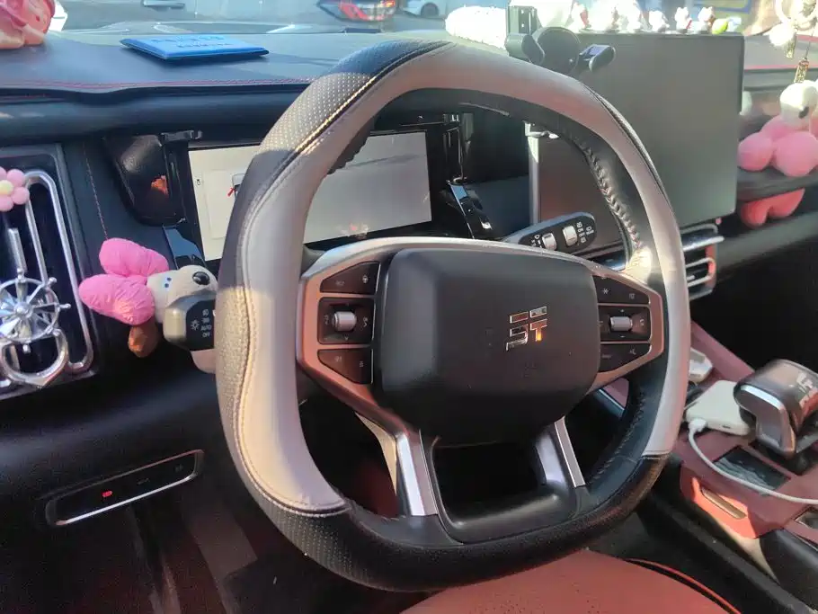 Shanhai Shanhai T1 — миниатюра 15