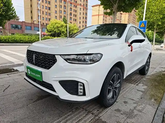 2020 Wey VV5