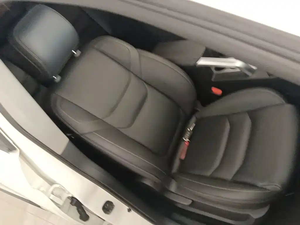 Haima Haima S5 — миниатюра 25