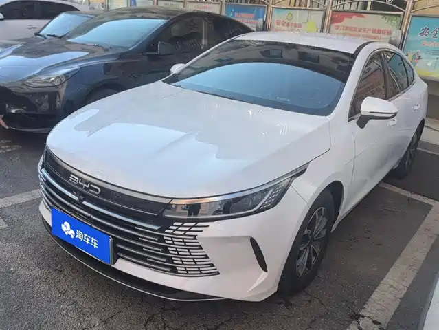 BYD DESTROYER 05 2024