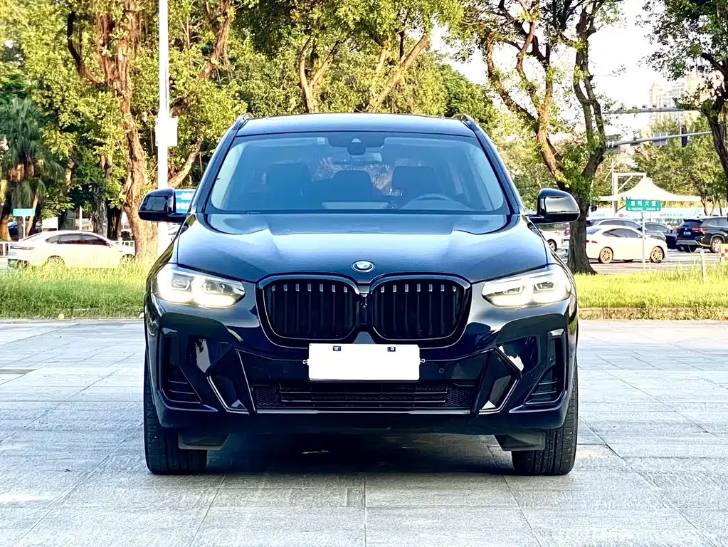 BMW X3 — миниатюра 2