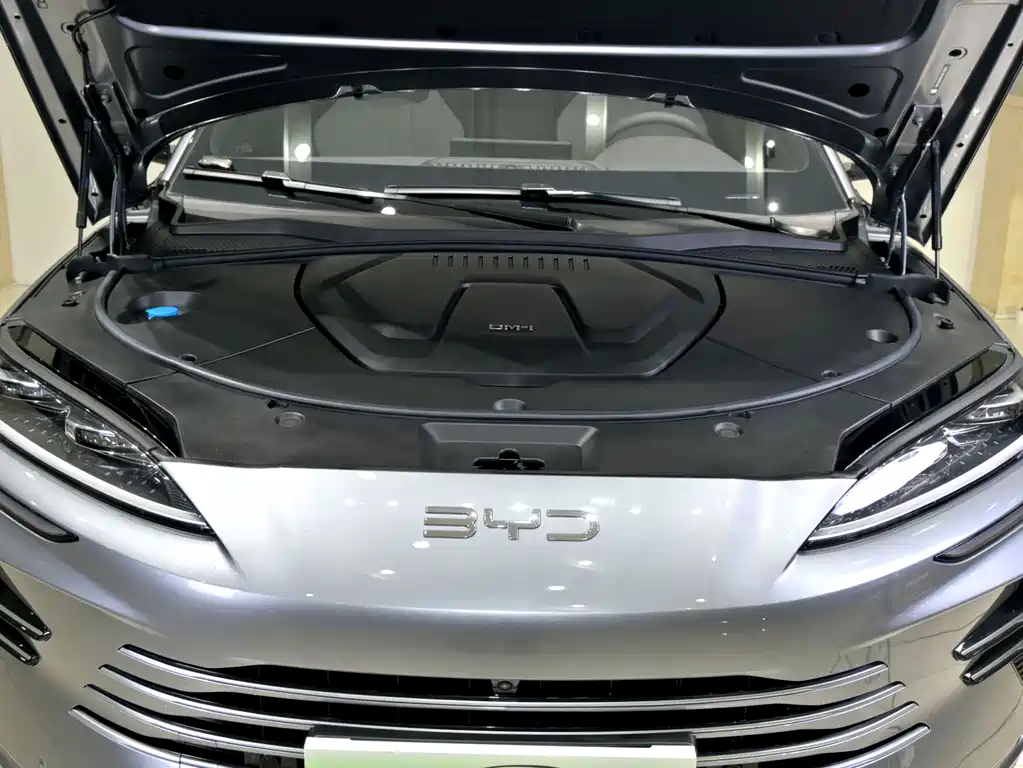 BYD Song PLUS DM - фото 23