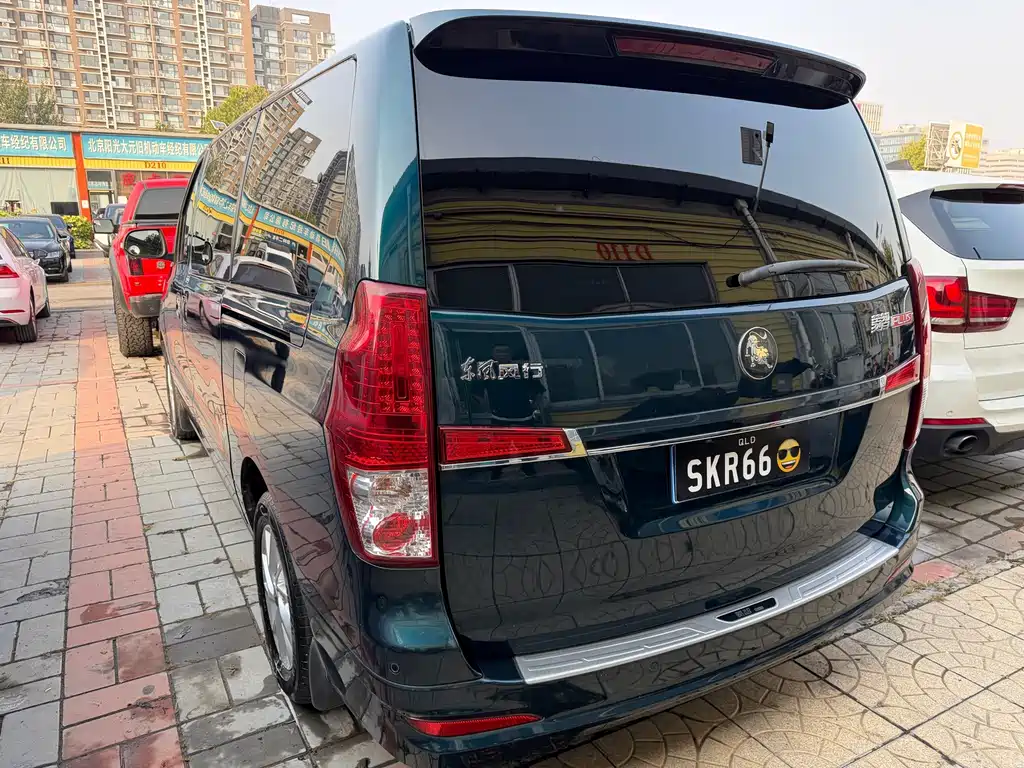 Fengxing Lingzhi PLUS — миниатюра 7