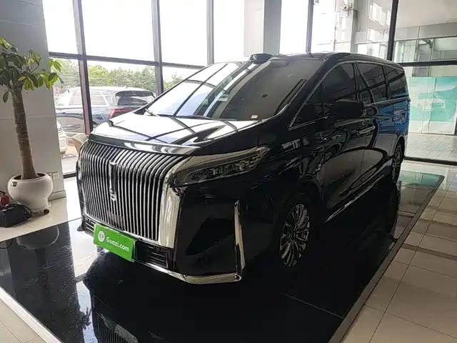 2025 Wey Gaoshan