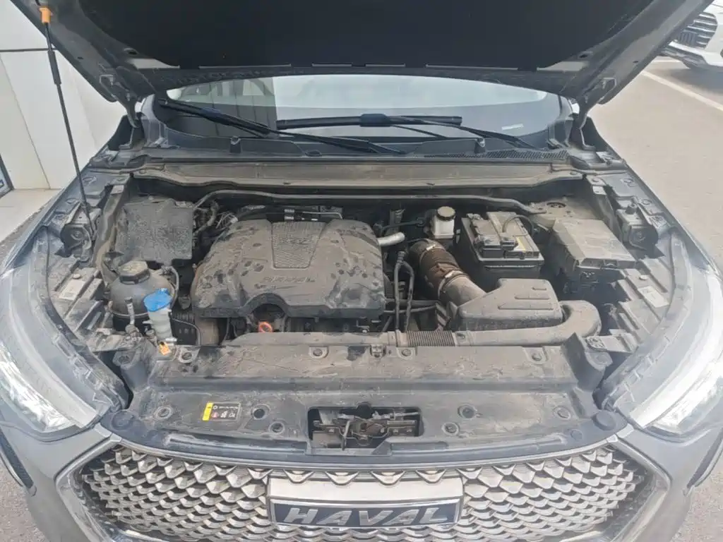 Haval Chulian — миниатюра 20