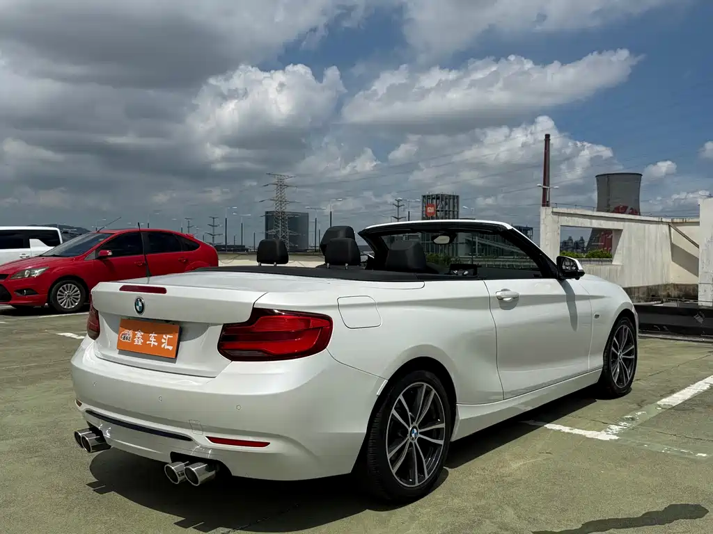 BMW 2 Series (Import) 220i Convertible Coupe Sport Design Package, фото 6