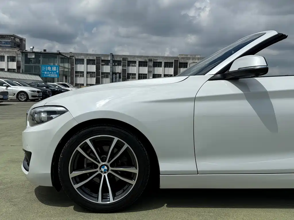 BMW 2 Series (Import) 220i Convertible Coupe Sport Design Package, фото 8