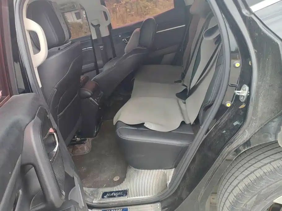 Haval Big Dog PLUS — миниатюра 11