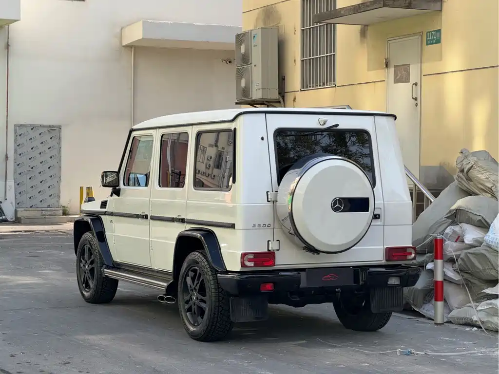 Mercedes-Benz G-Class G 2010 G 500
