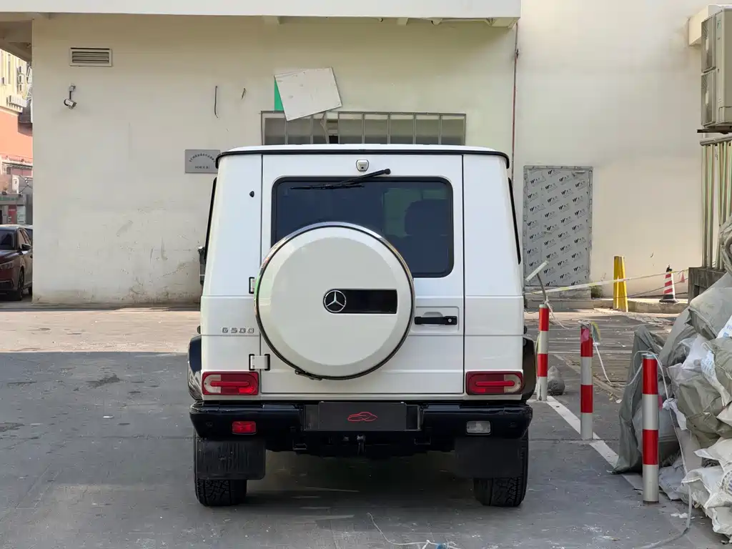 Mercedes-Benz G-Class G 2010 G 500