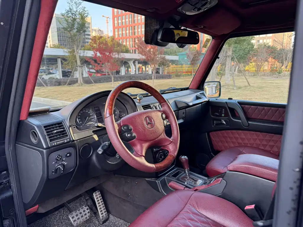 Mercedes-Benz G-Class G 2010 G 500