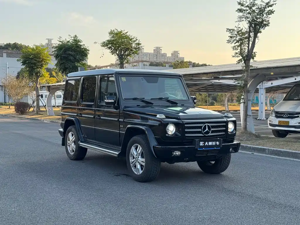 Mercedes-Benz G-Class G 2010 G 500