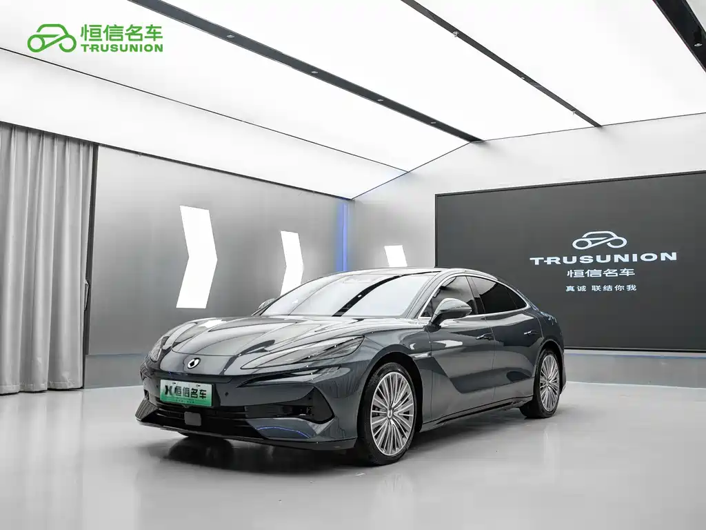 Denza Denza Z9