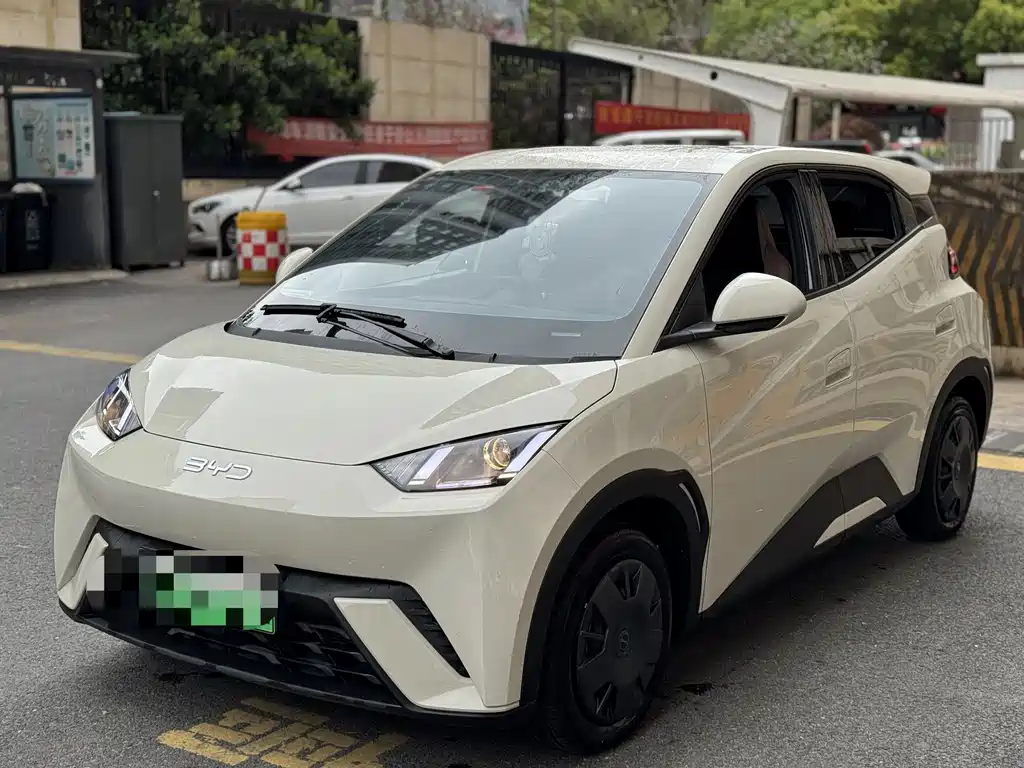 Byd Seagull 2024