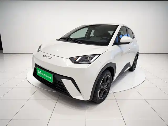 2023 BYD Seagull